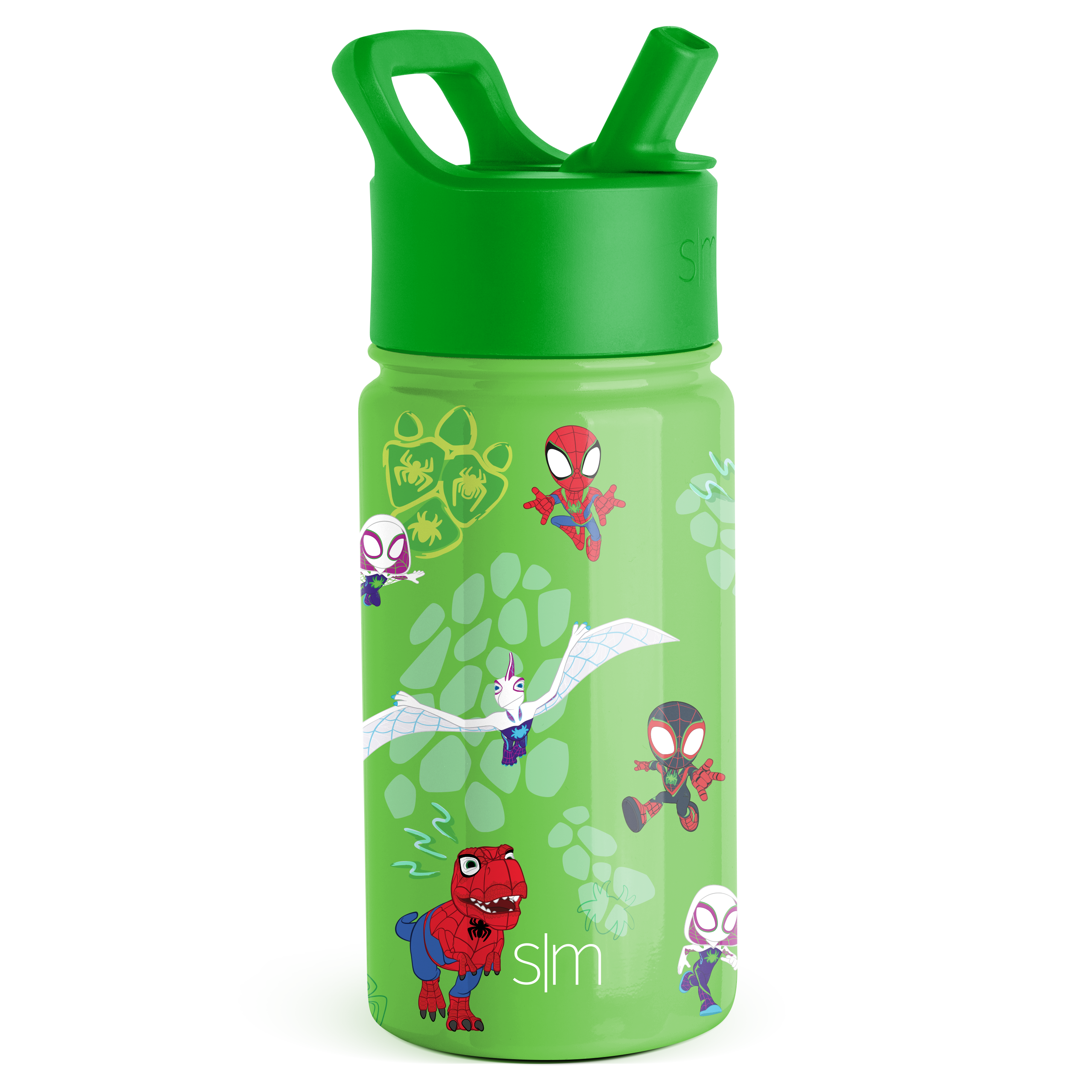 Summit Kids Water Bottle with Straw Lid - 14oz - Spidey Dino Webs / Straw / SM
